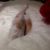 Avatar of Miss_Lena_