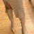 Avatar of orientalische_herrin22