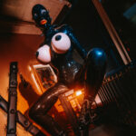 15TS_Luci_Doll_Kaefig